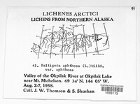 Image Associated With the Occurence
